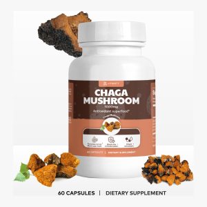 Chaga Mushroom – Immune & Gut Health Support