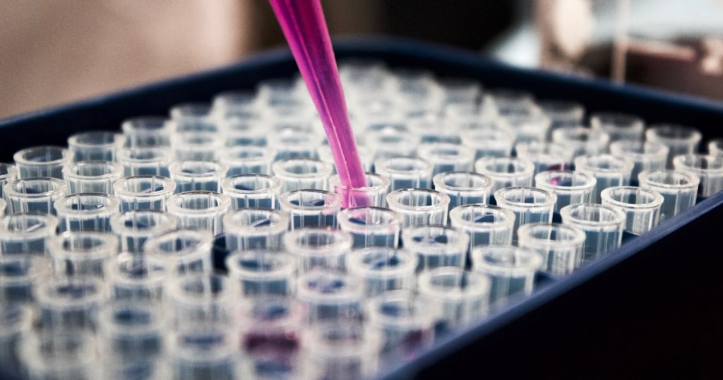 Why Your Supplements Aren’t Working — And the One Compound That Fixes It — Wellness Nest